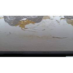 Spox sposób na pleśń