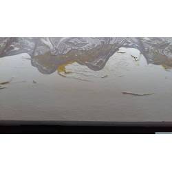 Spox przeciw pleśni