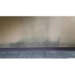 Spox sposób na grzyba domowego